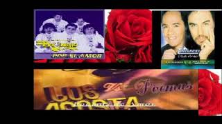 Poemas de los acosta temerarios y bryndis [upl. by Eahsram]