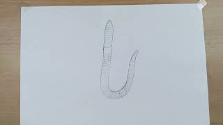 Earthworm Drawing Easy step by step [upl. by Inahpets]