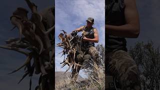 Packing sheds like a girl… 💪🏼 Elk Deer ShedHunting [upl. by Grata]