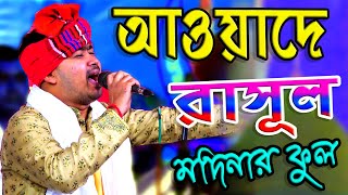 আওলাদে রাসূল মদিনার ফুল আমার বাবা মাওলানা  Aulade Rasul Modinar  Amar Baba Maulana  Johir Pagla [upl. by Ala]