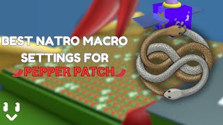 THE BEST Natro Macro Settings for Pepper Patch [upl. by Seow]