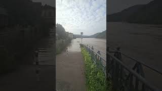 Germany  Flood  Neckar  2024 travel europe viralshorts viralreels viral flood [upl. by Buzz815]