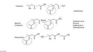 protection déprotection des fonctions organiques spécialité physique chimie terminale [upl. by Asillam804]
