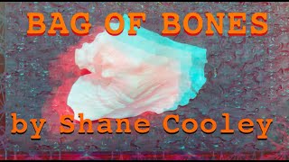 Shane Cooley quotBag of Bonesquot lyric video visualizer [upl. by Tellford]