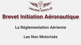 BIA  Réglementation aérienne 4  Les Aéronefs Non Motorisés [upl. by Eirroc]