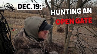 Dec 19 Hunting an Open Gate  Trail Cam Card Dump  Bowhunting Whitetails w Bill Winke [upl. by Arnold]