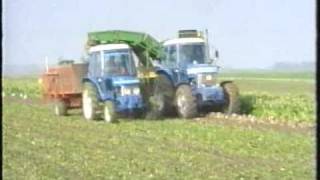 Bieten rooien met JD 4230 en Ford 7710 [upl. by Skees]