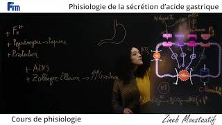 Cours de Physiologie Physiologie de la sécrétion dacide gastrique [upl. by Divadnhoj784]