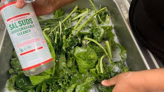 Wash Collard Greens Like Clothes For the CLEANEST Greens 🛑 Using SALT How to Clean Greens [upl. by True]