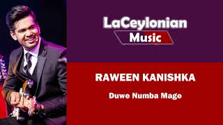 Duwe Numba Mage Pranayai Acoustic  Cover by Raween Kanishka [upl. by Eniarral634]