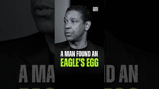 A man found an eagle egg 🥚 Denzel Washington motivation [upl. by Einwat]