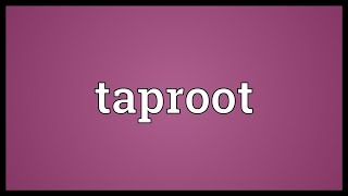 Taproot Meaning [upl. by Walkling]