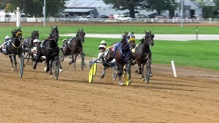 Harness Racing FanZone Top 10 Moments of 2018 [upl. by Baxter137]