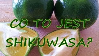 SHIKUWASA CO TO JEST owoce długowiecznościzdrowa dietaDieta Cud Okinawa [upl. by Jerrol407]