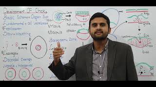 Ch19 Lec07 Development Of chick UrduHindi Lecture Fsc MDCAT NUMS Prep By M Bilal Chaudhary [upl. by Keiryt]