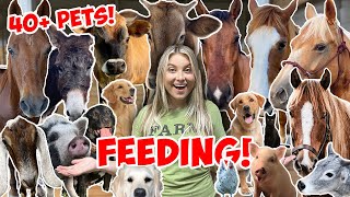 FEEDING ALL MY ANIMALS IN ONE VIDEO  40 ANIMALS NEW PETS ROUTINE [upl. by Anavlys617]