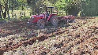 Massey Ferguson 4275 na grade de arrasto 14 discos [upl. by Yeoz]