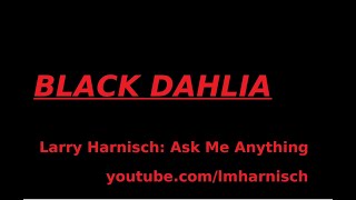 Black Dahlia Ask Me Anything October 2024 [upl. by Trout]