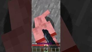 minecraft Mace vs BUFFER armored dog memes shorts [upl. by Clemmie]