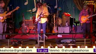 Strung like a Horse Live at Hernandos Hideaway [upl. by Ardnua]