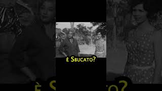 CHE CI FATE UN ALBERGO 🤣 film ADUA E LE COMPAGNE 1961 cinema commedia film risate movie [upl. by Naic]