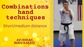 Four basic hand techniques combinations for shortmiddle distance [upl. by Nerac]