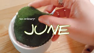 JUNE the unproductive month ✨ [upl. by Ennairrek]