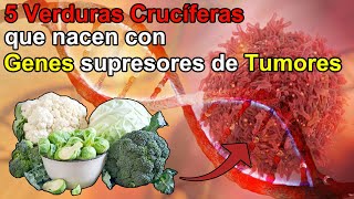 Los Mejores 5 Verduras Anticancerígenas que tienen Genes Supresores de Tumores y Cáncer [upl. by Ainirtak]