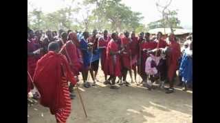 Maasai traditional dance [upl. by Eiramadnil601]