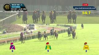 RACE NO  70  RISE AGAIN WINS  The Blue Horizon Handicap Div2 [upl. by Acenom]