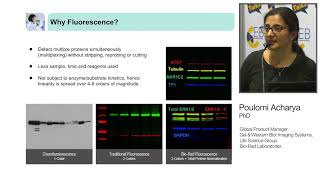 Quantitative Western Blotting How to improve your data quality and reproducibility [upl. by Loreen]