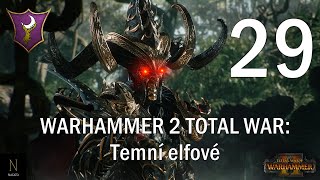 Let’s play WARHAMMER 2 TOTAL WAR  Temní elfové 29 CZSK [upl. by Baxie]