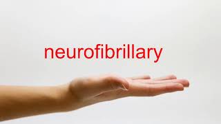 How to Pronounce neurofibrillary  American English [upl. by Yoral91]