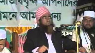 Maulana Jubaer Ahmed Ansari Bangla waz 2014 [upl. by Rodmun]