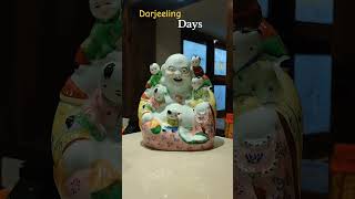 DARJEELING Days darjeelingtourpackage darjeeling waterfall reels viralshorts shorts 2024 [upl. by Leikeze941]