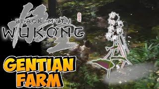 Gentian Farming Guide  Black Myth Wukong [upl. by Kenlee]