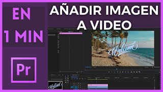 🖼️ Insertar Imagen en Video Premiere  Tutorial en 1 Minuto 🖼️ [upl. by Tiga]