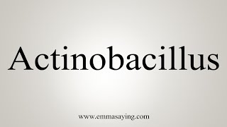 How To Say Actinobacillus [upl. by Warford]