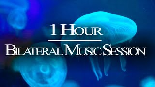 1 HR Bilateral Music Therapy  Relieve Stress Anxiety PTSD Nervousness  EMDR Brainspotting [upl. by Leiuqeze]