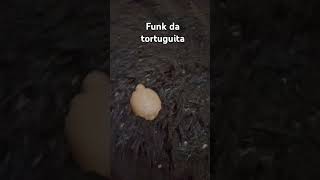 Tortuguita tortuguita🐢🍫 [upl. by Hazel665]