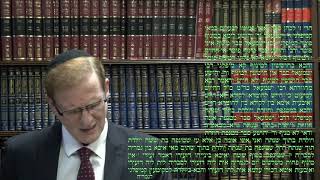 Talmud Daf Yomi Bekhorot 20 Rabbi Dr Moshe Weisblum תלמוד דף יומי בכורות כ׳ הרב דquotר משה ויסבלום [upl. by Slerahc]