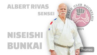 Albert RIVAS et Anthony  Bunkai Niseishi [upl. by Teri]