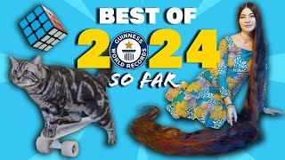 BEST WORLD RECORDS of 2024 so far  Guinness World Records [upl. by Crissie]