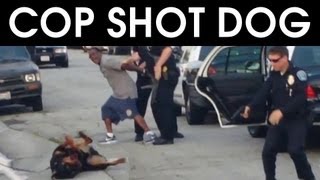 Police Shoots Rottweiler Dog [upl. by Arodoeht]