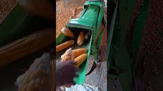 Maize corn remover machine  Makka chhorane wala machine  Makai chhorane wala [upl. by Yedsnil705]