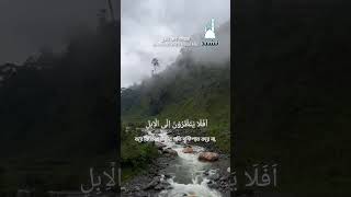 Surah Al Ghashiyah by Abdul Rahman Mossad [upl. by Nebur]