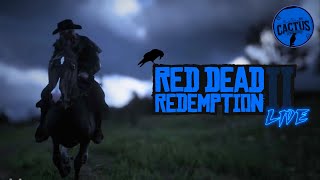 💙 LIVE ON 💙 R5600GT 💙 RED DEAD 2 REDM 💙 CACTUS RP [upl. by Collie70]