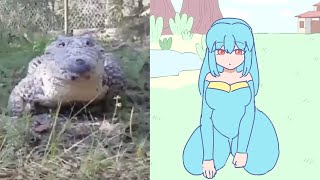 cute croc videos but its animated [upl. by Anzovin]