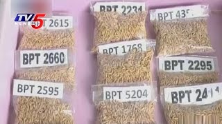 New Paddy Varieties For Kharif Season  Bapatla Rice Research Station  Annapurna  TV5 News [upl. by Illa]