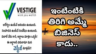 Vestige Business plan in teluguనేను తెలియక చేసిన తప్పులు మీరు చేయకండి ఉమెన్ లీడర్ మాటల్లో [upl. by Wilinski90]